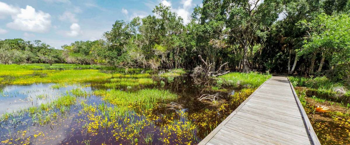 Braodwalk across wetlands in The William S Boylston Nature Trail in Myakka River State Park in Sarasota Florida in the United States