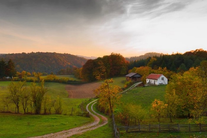 Growing Up In A Farm