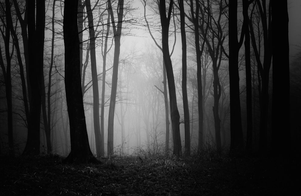 An eerie sense ©andreiuc88/Shutterstock.com